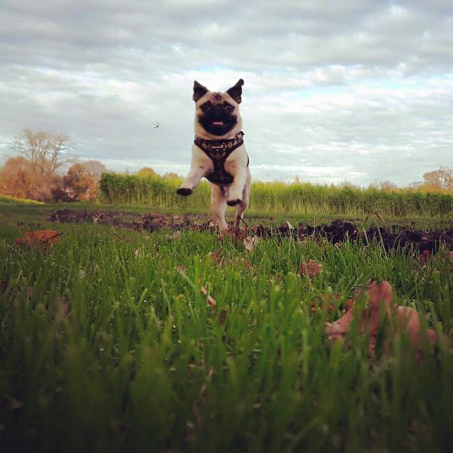 1779104_1024978817528390_5893175207985151385_n